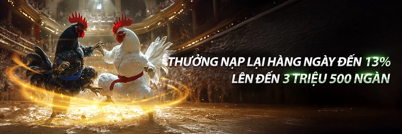 Đá Gà Trực Tuyến Hấp Dẫn tại vip52